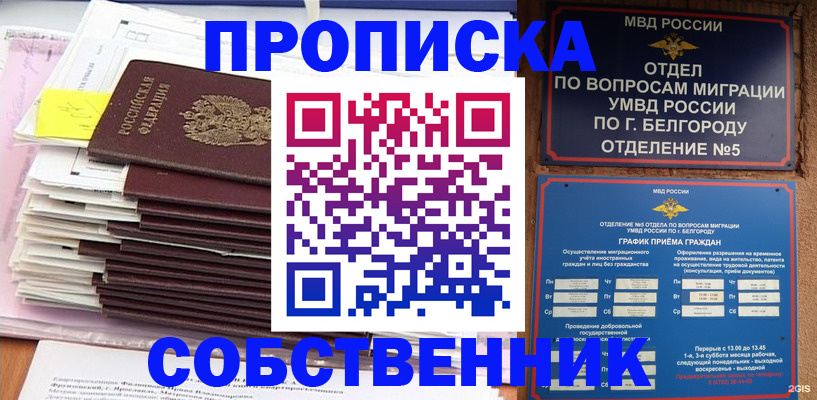 прописка законно в Чайковском